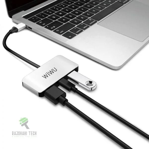 WiWU Alpha 3 in 1 USB Type C HUB (C2H)